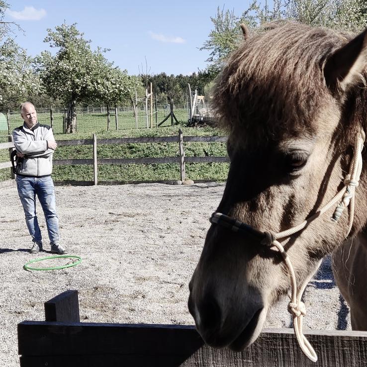 Führungskraft / Seminar
